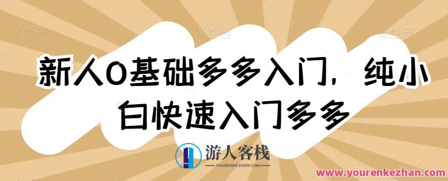 新人0基础拼多多入门，​纯小白快速入门多多，拼多多新手快速入门秘籍,管理,课程,第1张