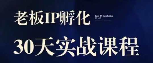 诸葛·2023老板IP实战课，实体同城引流获客，IP孵化必听，诸葛新春老板IP实战课，实体同城引流获客，IP孵化实战必修,课程,定位,收藏,第1张