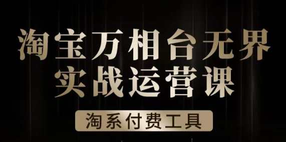 沧海·淘系万相台无界实战运营课，万相台无界实操全案例解析，沧海淘系万相台无界实战运营课全案例解析,课程,管理,支付,数据分析,第1张