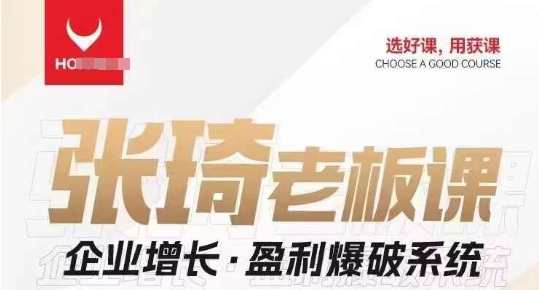 【组合课】张琦张琦老板企业增长·盈利爆破系统（直播专享）企业增长盈利爆破系统直播特训张琦老板实战秘籍,课程,管理,直播,成长,领导,第1张