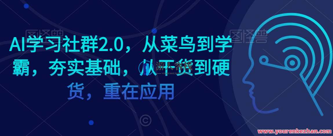 AI学习社群2.0，从菜鸟到学霸，夯实基础，从干货到硬货，重在应用，AI学习社群精英荟萃，从新手到高手，实战干货，应用技巧
