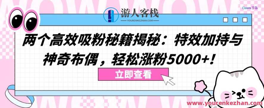两个高效吸粉秘籍揭秘：轻松涨粉5000+快速吸粉秘籍揭秘，粉丝翻倍增长5000+,第1张