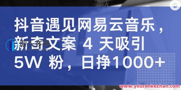 抖音遇见网易云音乐，新奇文案 4 天吸引 5W 粉日挣1000+网易云音乐遇抖音，音乐新潮，创意文案,第1张