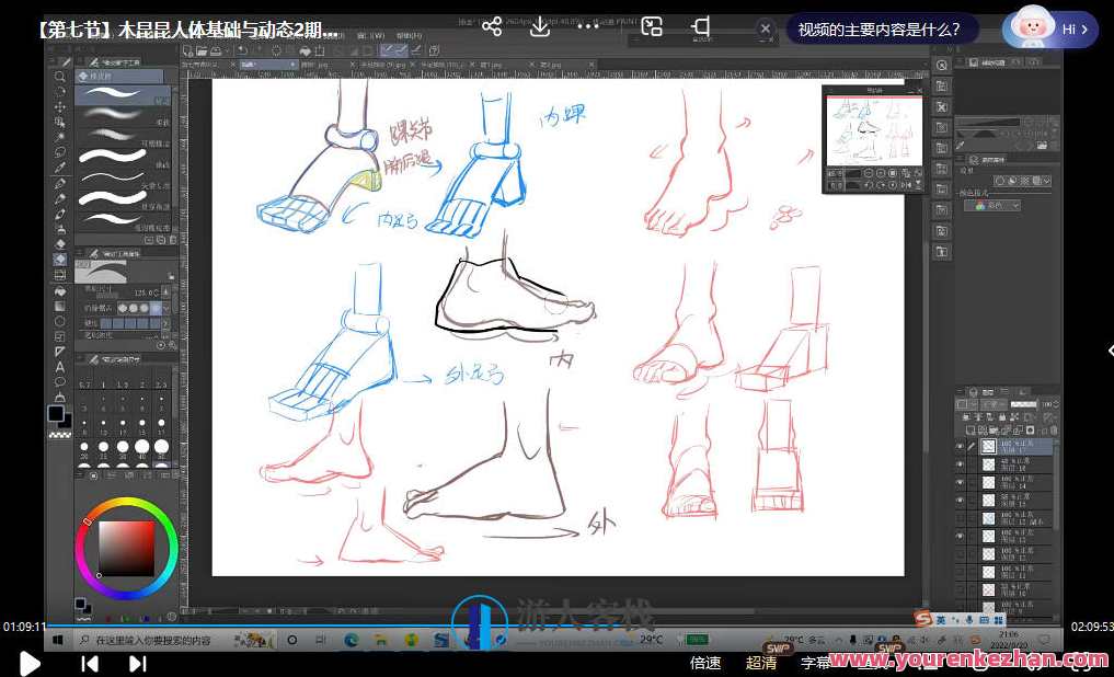 木昆昆人体基础与动态第2期2022，健康新知，木昆昆人体动态第2期,课程,第3张