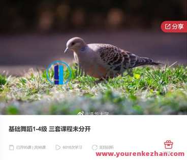 基础舞蹈1-4级 三套课程未分开-萌萌家网课，舞蹈进阶课程，初级至四级全套舞蹈教学,课程,学习,管理,第1张