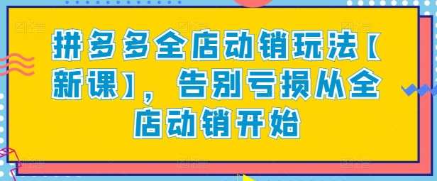 拼多多全店动销玩法【新课】，告别亏损从全店动销开始，拼多多全店动销新策略，盈利新篇章,课程,第1张