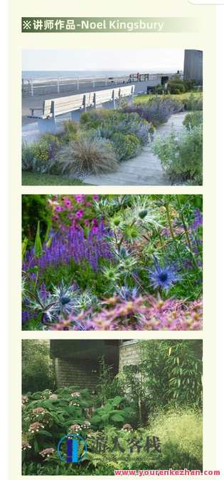 「自然主义」花园设计课程-萌萌家网课，自然探索之旅，萌趣花园设计课程,课程,学习,管理,第3张