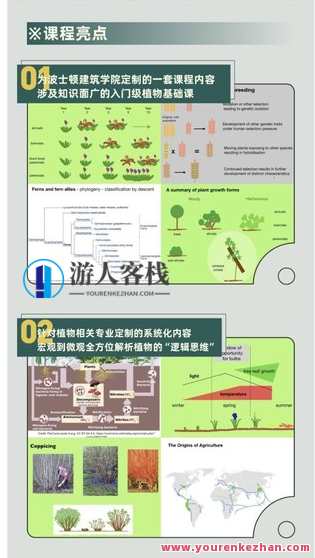 景观花园设计专业的「植物学基础」— Noel Kingsbury-萌萌家网课，植物学基础进阶，Noel Kingsbury景观花园设计专业网课