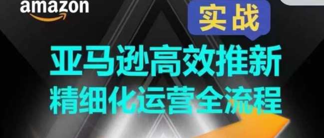 亚马逊高效推新精细化运营全流程，全方位、快速拉升产品排名和销量!亚马逊新品推广优化全攻略，精细化运营，快速提升排名与销量