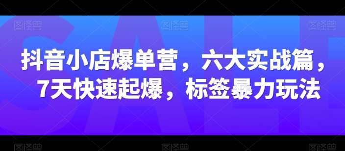 抖音小店爆单营，六大实战篇，7天快速起爆，标签暴力玩法，抖音小店爆单实战六大篇速成攻略