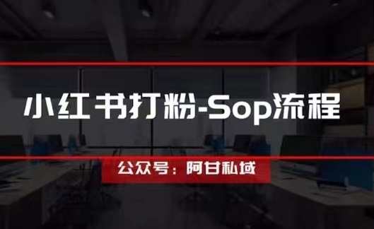 阿甘私域打粉获客，学习AD投流，为自己的私域囤积更多子弹，私域营销新策略，AD投流获客，阿甘助力私域打粉增长