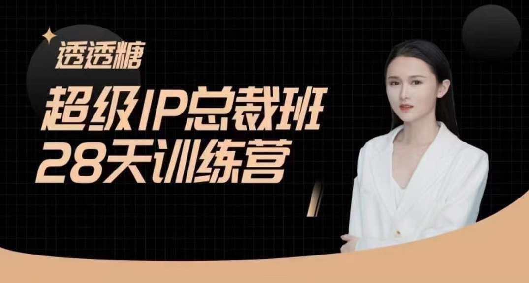 透透糖·超级IP总裁班28天训练营-5月新课，新媒体高效获取能变现的精准流量，透透糖·新媒体流量变现总裁班28天实战营,课程,直播,定位,脚本,合作,视频制作,第1张
