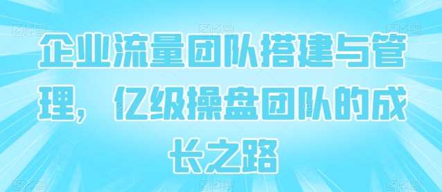 企业流量团队搭建与管理，亿级操盘团队的成长之路，企业流量团队高效运营之道，团队搭建与成长之路
