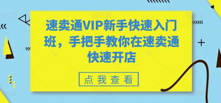 速卖通VIP新手快速入门班，手把手教你在速卖通快速开店，速卖通VIP新手快速开店进阶班，助你轻松掌握速卖通运营技巧