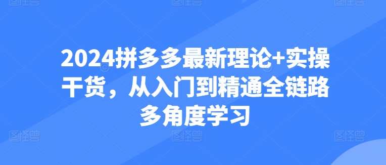 2024拼多多最新理论+实操干货,从入门到精通全链路多角度学习,拼多多实战干货,2024年最新理论+实操,全链路多角度学习,课程,学习,第1张 2024拼多多最新理论+实操干货,从入门到精通全链路多角度学习,拼多多实战干货,2024年最新理论+实操,全链路多角度学习,课程,学习,第1张