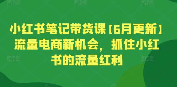 小红书笔记带货课【6月更新】流量电商新机会，抓住小红书的流量红利，小红书流量电商新机遇，6月更新，把握流量红利，掌握带货技巧,课程,学习,直播,专业,定位,电商,合作,客户服务,第1张