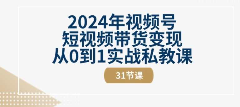 2024年视频号短视频带货变现从0到1实战私教课(31节视频课)视频号私教实战变现进阶课,课程,学习,直播,教育,第1张