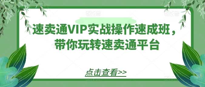 速卖通VIP实战操作速成班，带你玩转速卖通平台，速成速卖通VIP实战操作秘籍,课程,模板,竞争,第1张