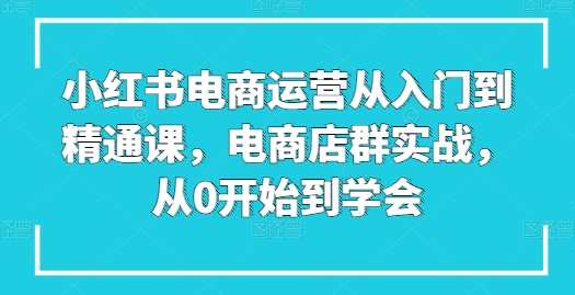 小红书电商运营从入门到精通课，电商店群实战，从0开始到学会，电商运营进阶课，从入门到精通，电商店群实战实战班