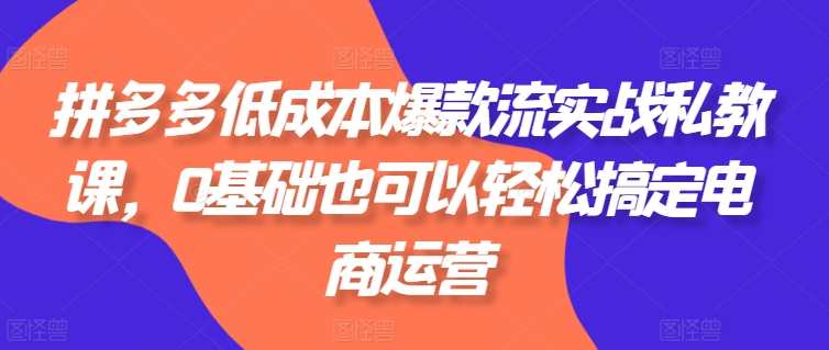 拼多多低成本爆款流实战私教课，0基础也可以轻松搞定电商运营，拼多多低成本爆款运营私教课