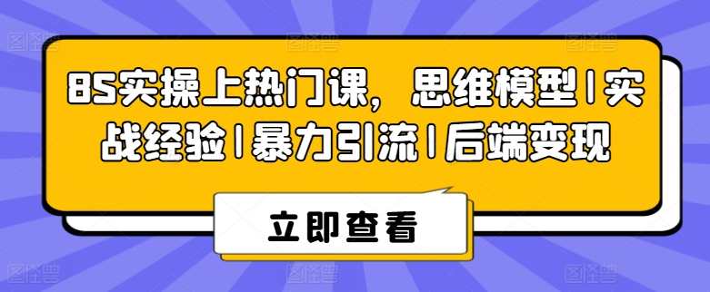 8S实操上热门课，思维模型|实战经验|暴力引流|后端变现，8S实操引流秘籍，思维模型与实战经验，火爆网络课程，快速变现后端,第1张