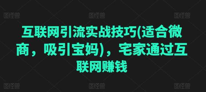互联网引流实战技巧(适合微商，吸引宝妈)，宅家通过互联网赚钱，互联网引流秘籍，宅家宝妈实战指南，妙招引流量，微商首选,学习,网赚,第1张
