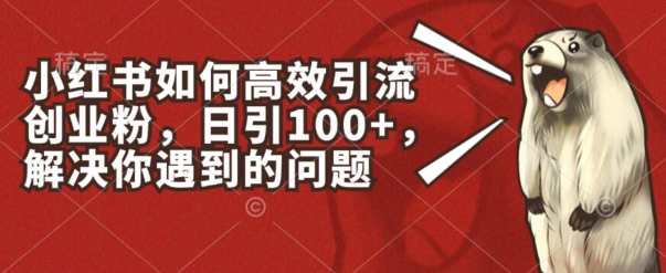 小红书如何高效引流创业粉，日引100+，解决你遇到的问题【揭秘】引流创业粉秘籍，小红书高效引流术，日引千人无需愁,课程,支付,第1张