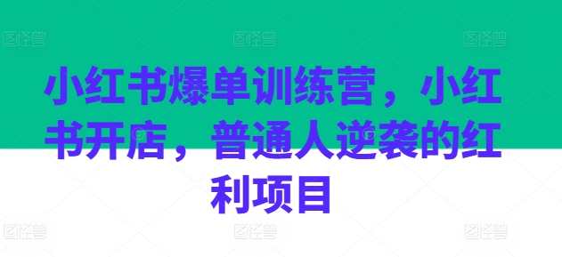 小红书爆单训练营,小红书开店,普通人逆袭的红利项目_可乐小红书电商,小红书开店赢利宝典,普通人逆袭电商红利项目,课程,模板,电商,支付,客户服务,第1张 小红书爆单训练营,小红书开店,普通人逆袭的红利项目_可乐小红书电商,小红书开店赢利宝典,普通人逆袭电商红利项目,课程,模板,电商,支付,客户服务,第1张