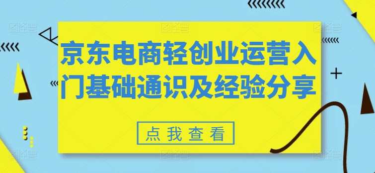 京东电商轻创业运营入门基础通识及经验分享，京东电商轻创业运营入门实战指南,课程,电商,第1张