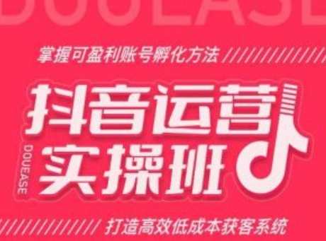 抖音运营实操班，掌握可盈利账号孵化方法，打造高效低成本获客系统，抖音运营秘籍班，盈利账号孵化实战技巧，低成本获客策略培训,课程,定位,脚本,第1张