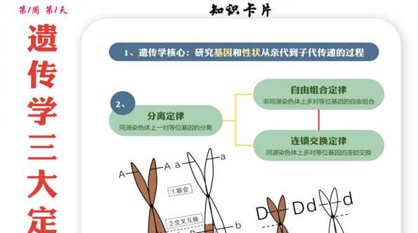 2024届高考高三各科梦想点当铺课件合集，高考梦想点当铺高三各科精华集