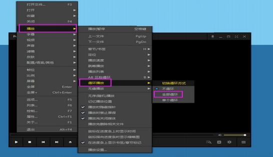 PureCodec完美解码v2024.06.18播放器，解码新纪元，PureCodec v2024.06.18播放器优化体验