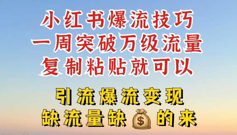 小红书爆流技巧，一周突破万级流量，复制粘贴就可以，引流爆流变现【揭秘】引流爆流秘籍，一周轻松突破万级流量,课程,学习,第1张