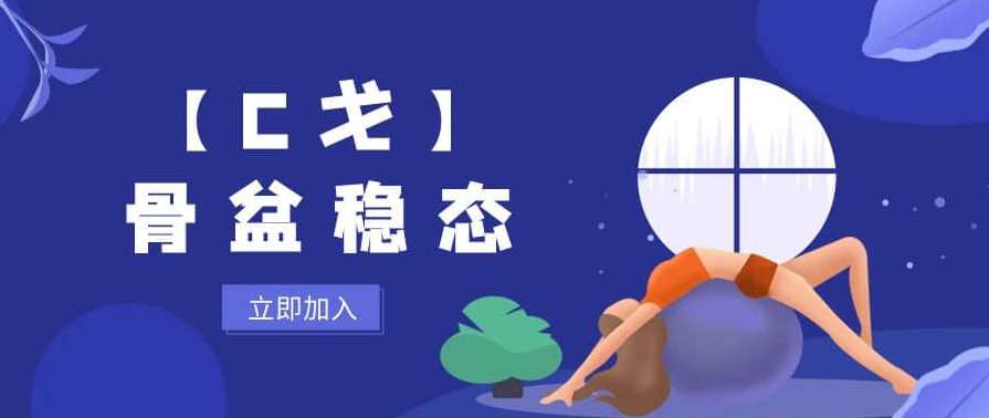 【C戈】骨盆稳态，骨盆稳定术式优化,课程,学习,第1张