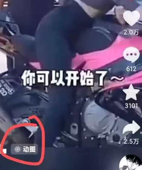 2024年苹果手机动图搬运技术，2024年苹果手机动图搬运技术革新,第2张