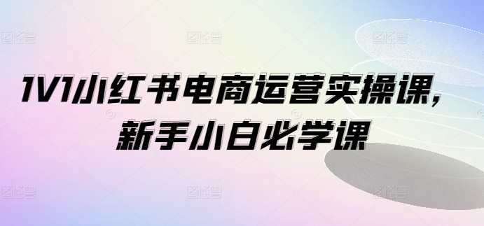 1V1小红书电商运营实操课，新手小白必学课，电商运营实战进阶课，新手小白电商运营实操技巧