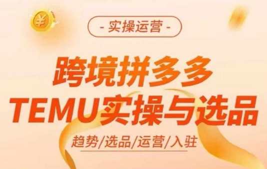 跨境拼多多TEMU实操与选品，多多temu跨境选品运营实操，跨境拼多多TEMU选品运营秘籍,课程,学习,管理,电商,蓝星智库,运动,第1张