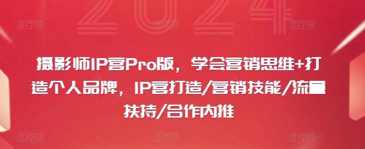 摄影师IP营Pro版，学会营销思维+打造个人品牌，IP营打造/营销技能/流量扶持/合作内推，摄影大师营销秘籍，打造个人品牌，Pro版IP营助力流量扶持与合作内推,课程,学习,蓝星智库,支持,合作,摄影,信任,第1张