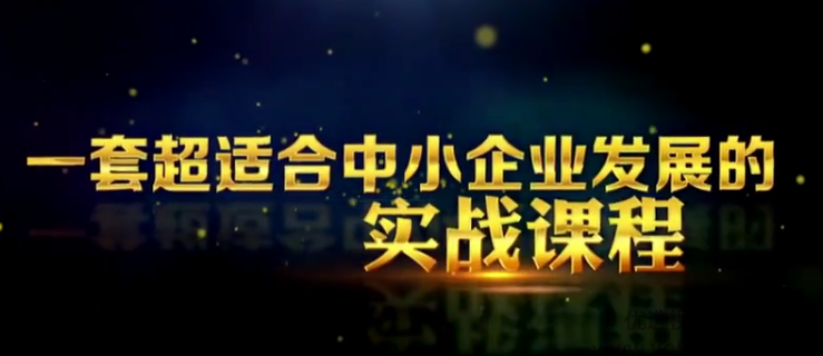 苏引华《2020商业思维》现场讲座全程高清完整视频（97集）商业思维解码，苏引华2020讲座高清视频全记录
