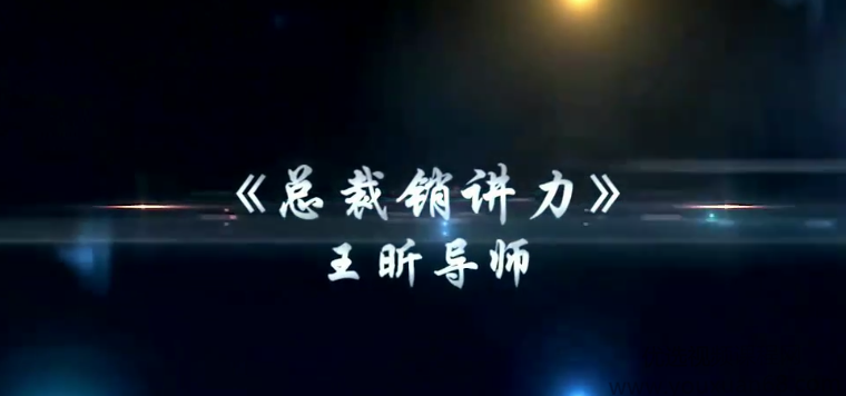 招商女神王昕《总裁销讲力》（7集讲座视频）总裁销讲力招商女神王昕七集系列，震撼来袭,课程,第1张