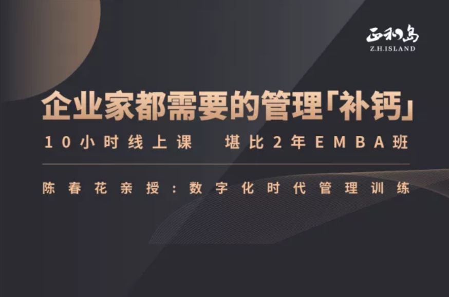 陈春花《数字化时代的管理训练》（30年管理智慧）20集视频，数字化时代的管理训练之陈春花三十年智慧集锦,课程,学习,管理,沟通,成长,第1张