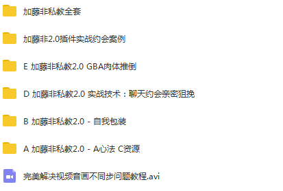 浪迹教育《加藤非私教2.0》教育新篇章，加藤非私教2.0深度解析,课程,学习,管理,直播,艺术,第2张