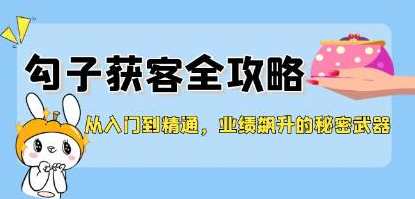 《勾子获客全攻略》业绩飙升的秘密武器,勾子获客秘籍,业绩翻倍攻略,课程,学习,攻略,第1张 《勾子获客全攻略》业绩飙升的秘密武器,勾子获客秘籍,业绩翻倍攻略,课程,学习,攻略,第1张