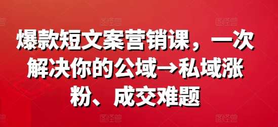 爆款营销文案课，一次解决你的公域→私域涨粉、成交难题，公域私域营销秘籍，爆款文案课助力涨粉成交