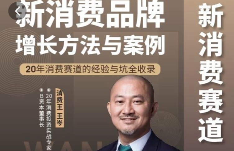 王岑：新消费品牌增长方法与案例，新消费品牌增长策略与案例解析，王岑经验,课程,学习,发展,团队,艺术,创新,第1张