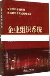 贾长松讲座视频《如何建设企业组织系统》