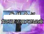 杜云生全集-杜云生《如何建立强大的企业》企业管理培训,管理,第1张