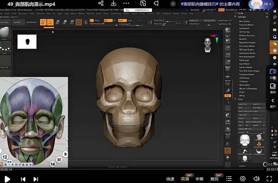 东哥3d角色网络班第2期2023zbrush课程,课程,学习,第3张