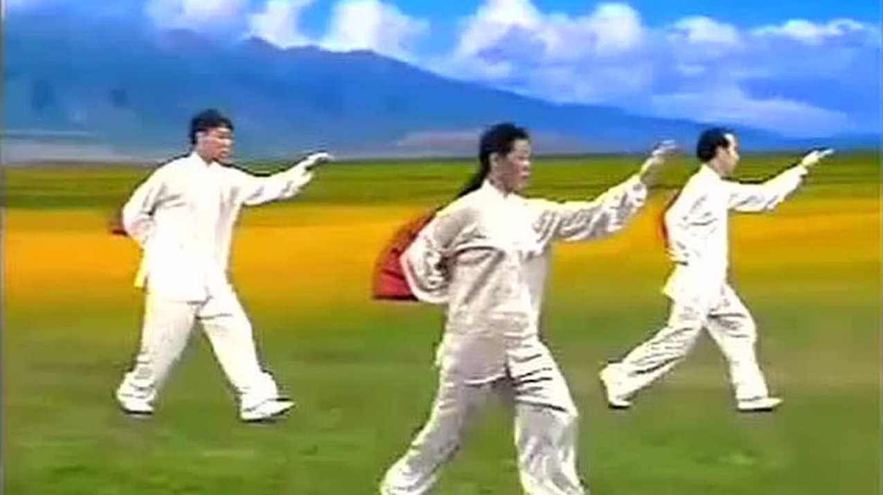 张广德养生学堂《舒心平血功》2套,学习,放松,养生,第1张