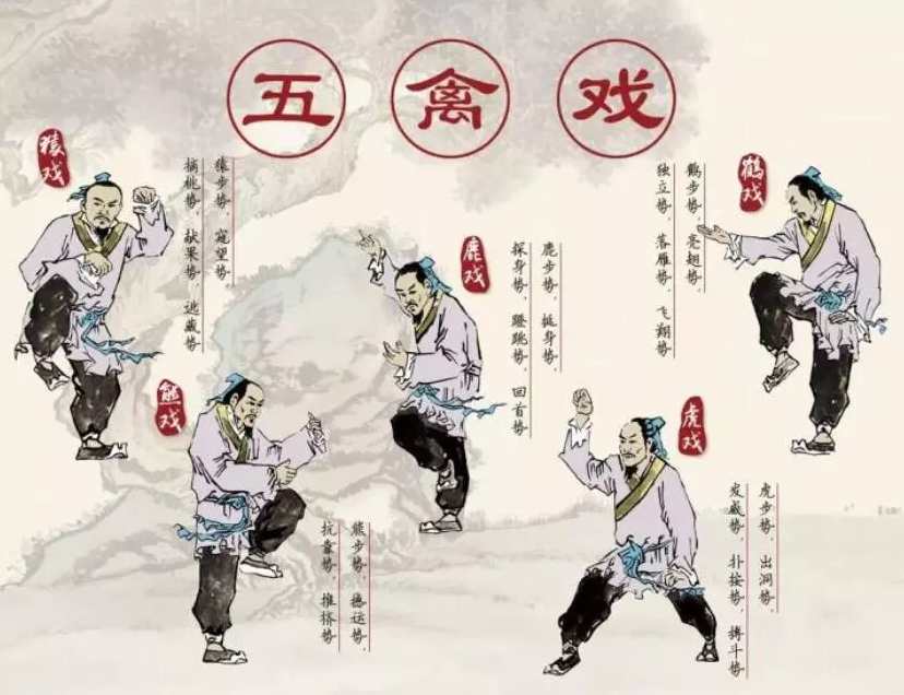 《华陀五禽戏》RMVB格式2CD